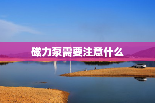 磁力泵需要注意什么