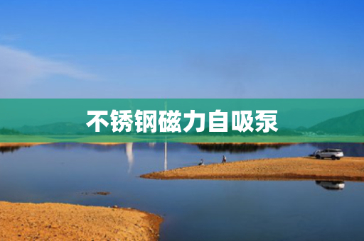 不锈钢磁力自吸泵