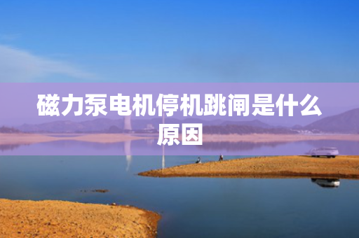 磁力泵电机停机跳闸是什么原因