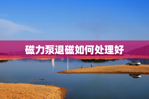 磁力泵退磁如何处理好