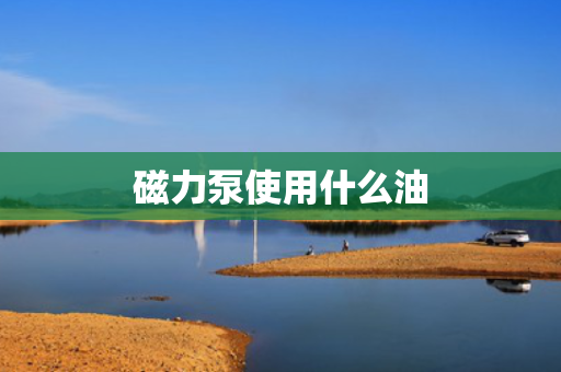 磁力泵使用什么油