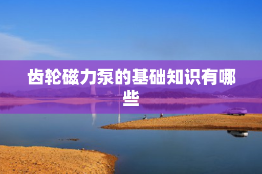 齿轮磁力泵的基础知识有哪些