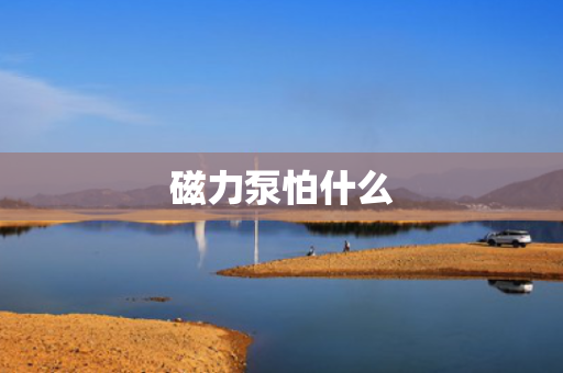 磁力泵怕什么