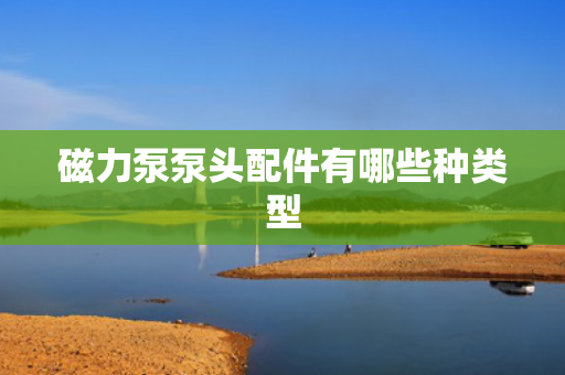 磁力泵泵头配件有哪些种类型