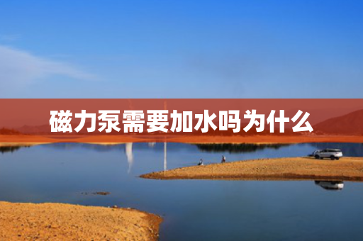 磁力泵需要加水吗为什么