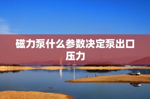 磁力泵什么参数决定泵出口压力