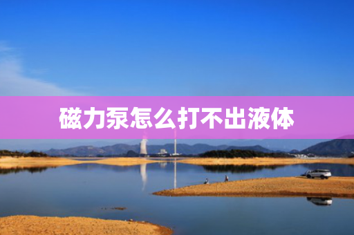 磁力泵怎么打不出液体