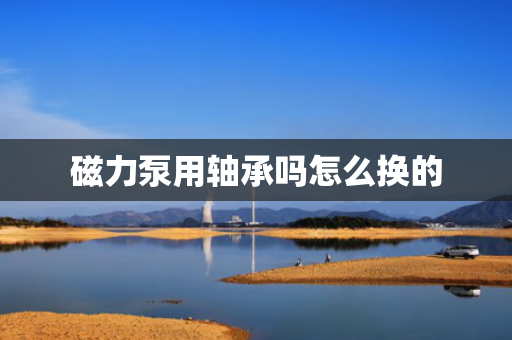 磁力泵用轴承吗怎么换的