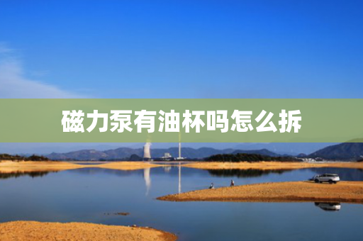 磁力泵有油杯吗怎么拆