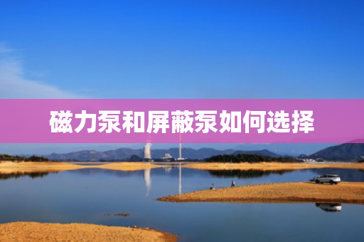 磁力泵和屏蔽泵如何选择