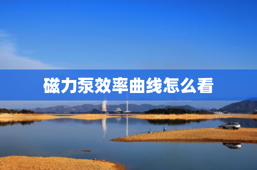 磁力泵效率曲线怎么看