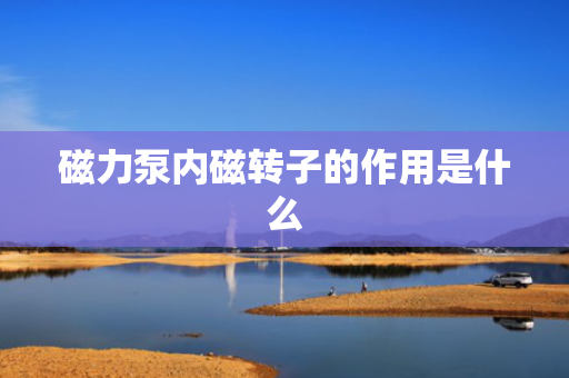 磁力泵内磁转子的作用是什么