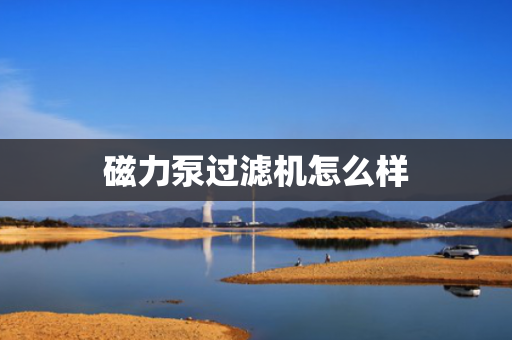 磁力泵过滤机怎么样