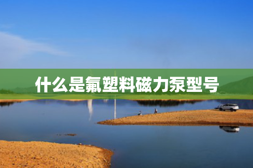 什么是氟塑料磁力泵型号