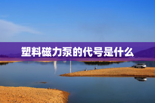塑料磁力泵的代号是什么