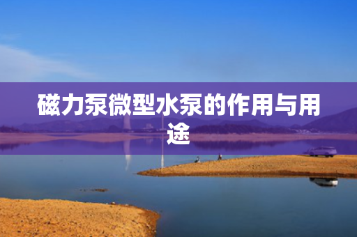磁力泵微型水泵的作用与用途