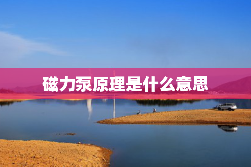 磁力泵原理是什么意思