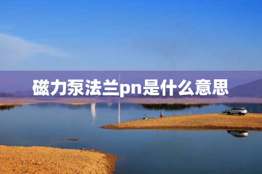 磁力泵法兰pn是什么意思