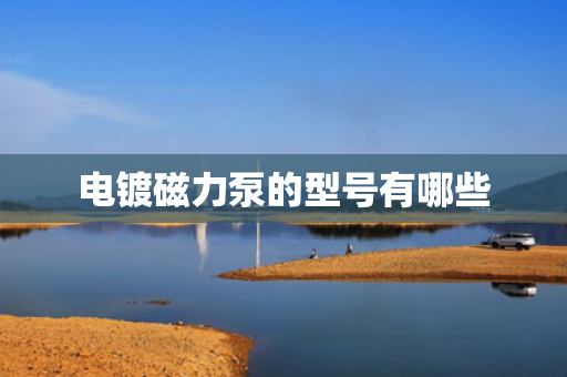 电镀磁力泵的型号有哪些
