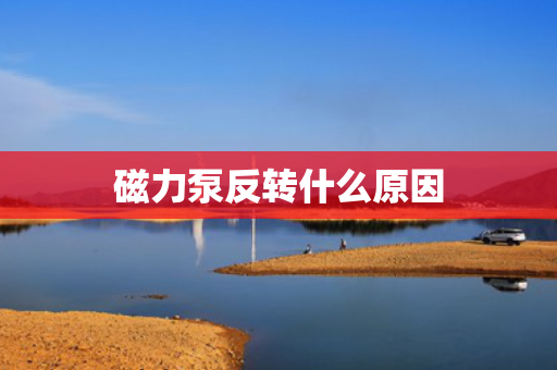 磁力泵反转什么原因