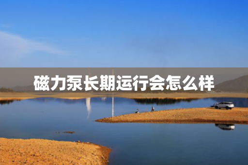 磁力泵长期运行会怎么样