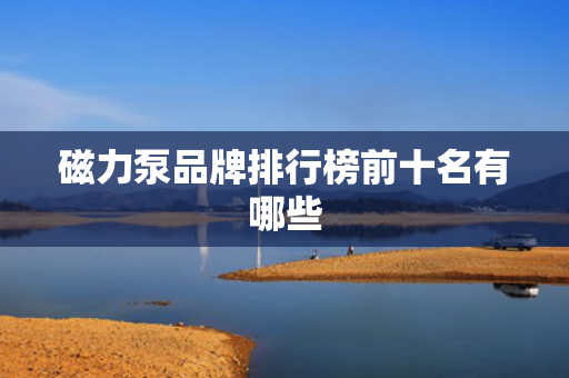 磁力泵品牌排行榜前十名有哪些