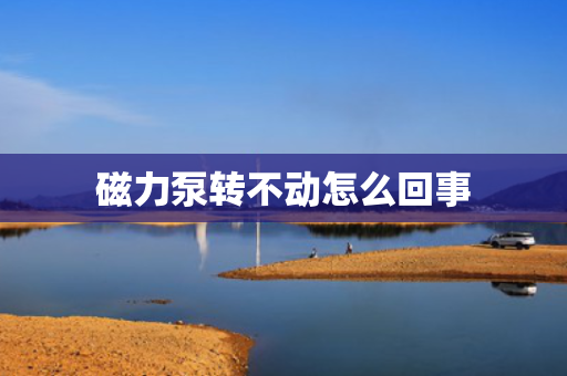 磁力泵转不动怎么回事