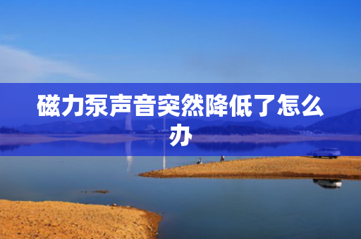 磁力泵声音突然降低了怎么办