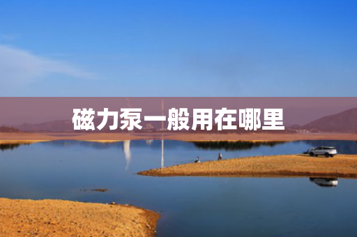 磁力泵一般用在哪里