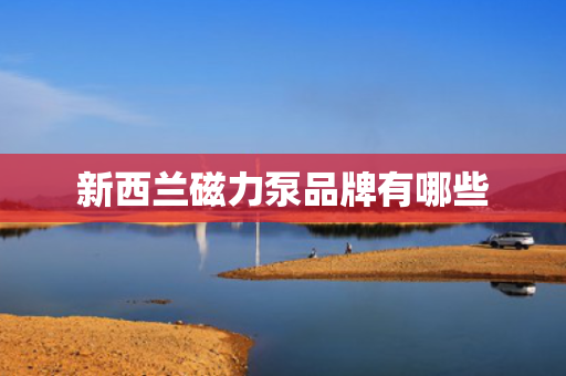 新西兰磁力泵品牌有哪些