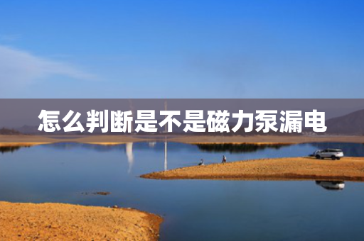 怎么判断是不是磁力泵漏电