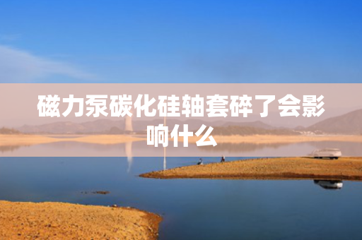 磁力泵碳化硅轴套碎了会影响什么