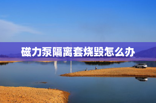 磁力泵隔离套烧毁怎么办