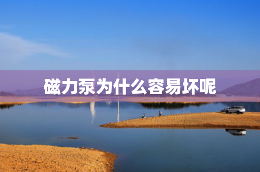 磁力泵为什么容易坏呢