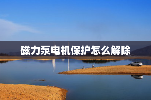 磁力泵电机保护怎么解除