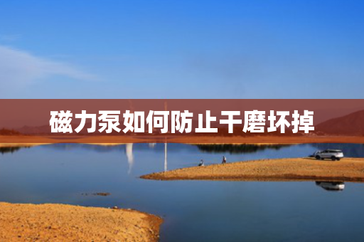 磁力泵如何防止干磨坏掉
