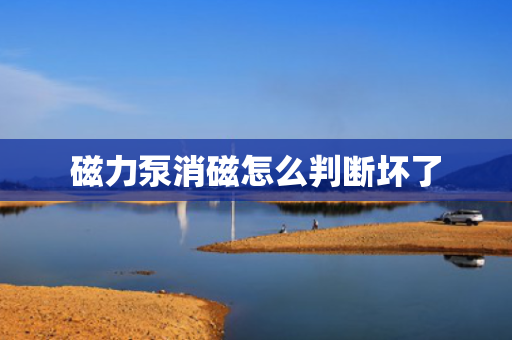磁力泵消磁怎么判断坏了