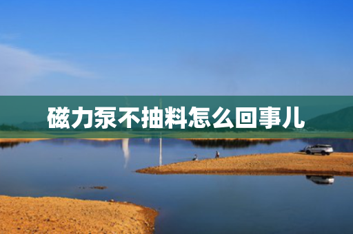 磁力泵不抽料怎么回事儿