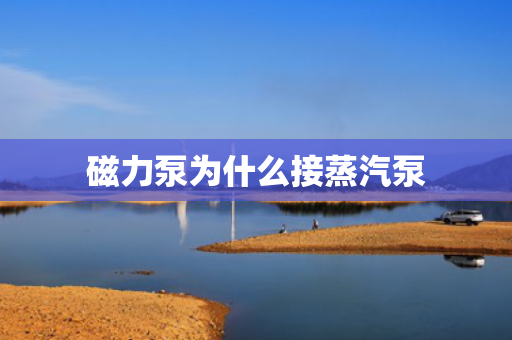 磁力泵为什么接蒸汽泵