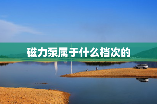磁力泵属于什么档次的