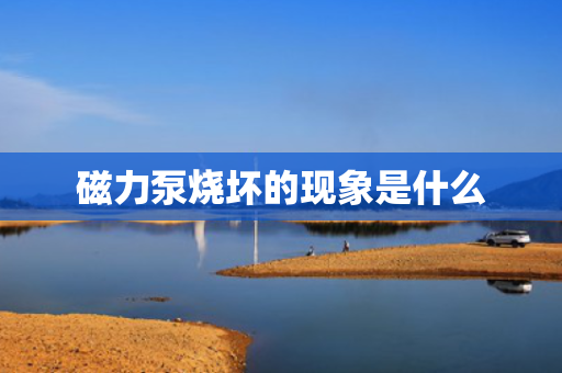 磁力泵烧坏的现象是什么