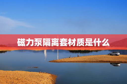 磁力泵隔离套材质是什么