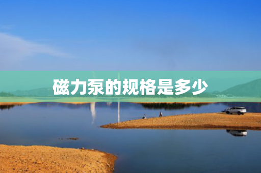 磁力泵的规格是多少