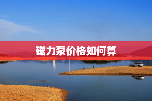 磁力泵价格如何算