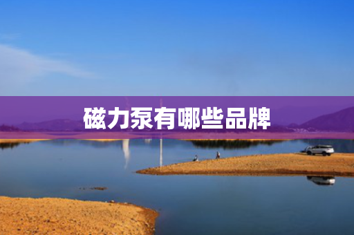 磁力泵有哪些品牌