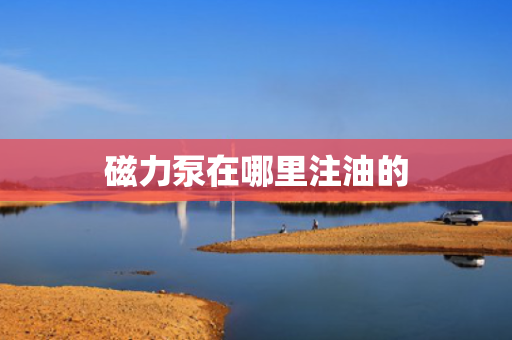 磁力泵在哪里注油的