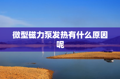 微型磁力泵发热有什么原因呢