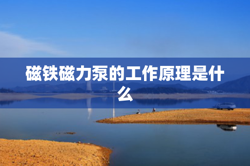 磁铁磁力泵的工作原理是什么