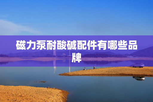 磁力泵耐酸碱配件有哪些品牌