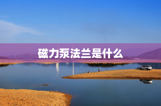 磁力泵法兰是什么